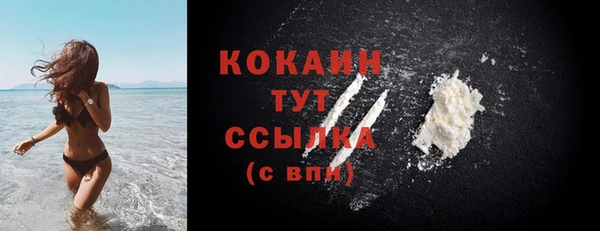 бошки Абаза