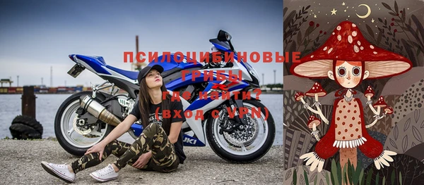 бошки Абаза